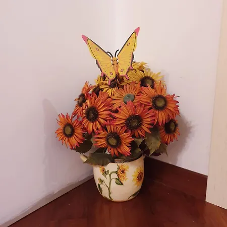 Casa vacanze Dreams *